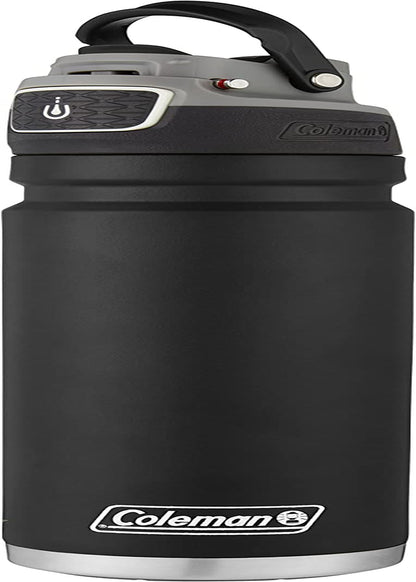 Autoseal Freeflow Stainless Steel Water Bottle, Black, 24Oz